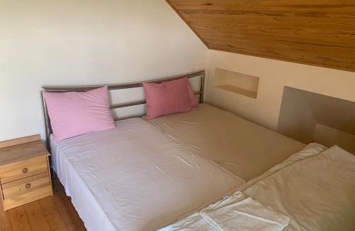 Plateliai House | Artless