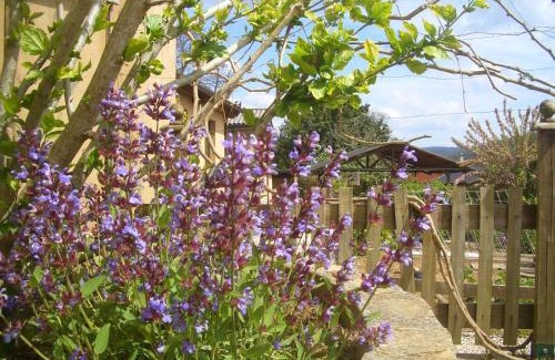 Cedeira House | As Jarras