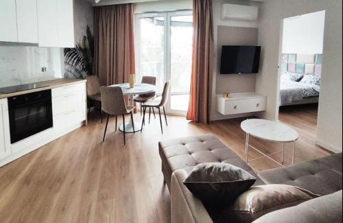 Bialystok Apartment | Asagi Czarna, centrum, klimatyzacja - parking gratis !