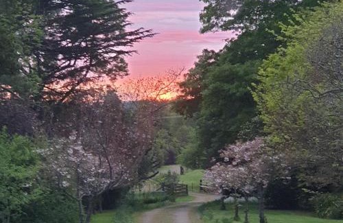 Ongaonga Bed & Breakfast | Ashcott Homestead Bed & Breakfast