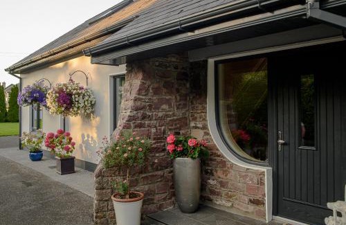 Tralee Bed & Breakfast | Ashville House B&B Tralee