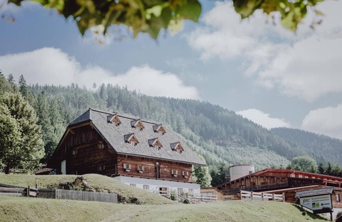 Pogier Hotel | 50 m² Hotel ∙ 1 bedroom ∙ 2 guests