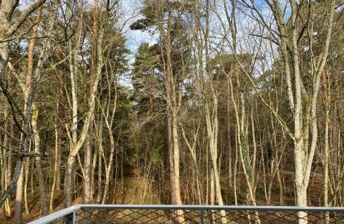 Juodkrante Apartment | At the Forest Edge