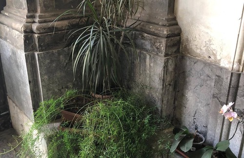 Ruggero Settimo House | At the Palazzo Del Principe, at the Massimo, in the center of Palermo
