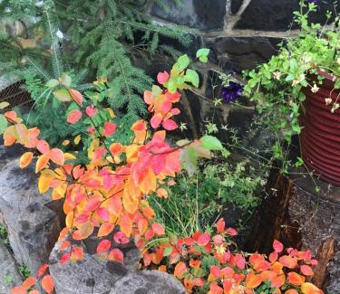 Banff Bed & Breakfast | At Wits End B&B