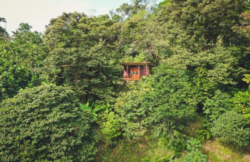 Isla Bastimentos Cabin | Ataraxia