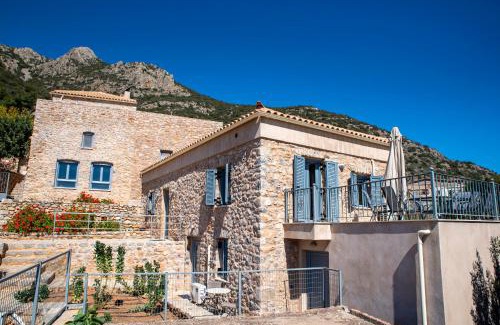 Molaoi House | Atelier