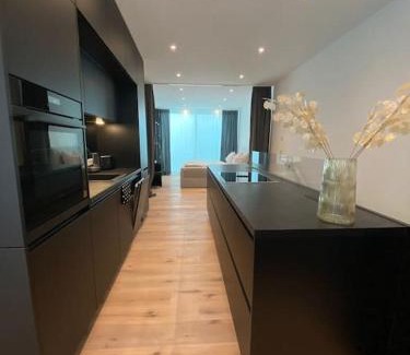 Altstadt Sudwest Apartment | Atelierhaus Zentrum,ruhig,HT herzlich willkommen
