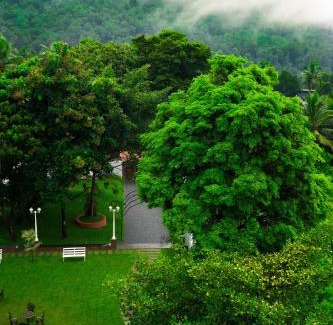 Athirapally Hotel | Athirappilly Rainland Resort