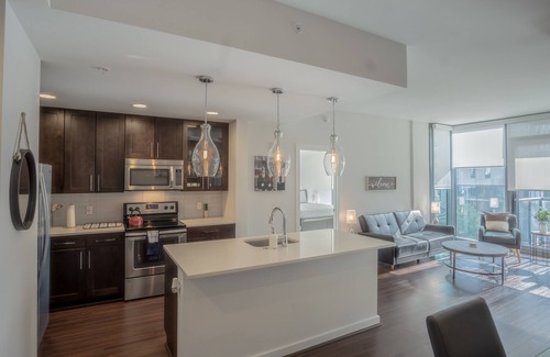 North Buckhead Apartment | Atlanta Buckhead Fully Furnished Apartment by RedAwning