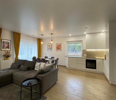 Druskininkai Apartment | Atostogų namas Twins