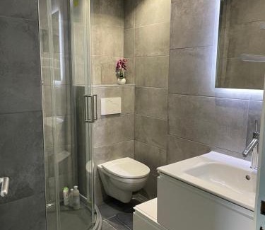 La Roche-sur-Foron Apartment | "Au cœur des Alpes 3" terrasse et parking privé