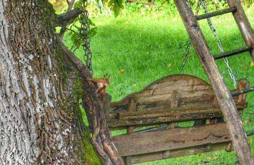 Saint-Bonnet-de-Bellac Bed & Breakfast | Au coeur des loges