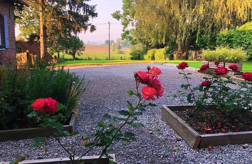 Saint-Jans-Cappel Cottage | Au coin du loup, Flemish bed and breakfast on the Franco-Belgian border, in the heart of the mountains
