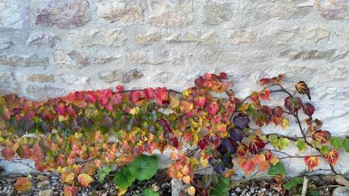 Sennecey-le-Grand Bed & Breakfast | Auberg'Inn