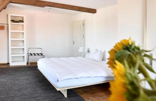Porrentruy Hotel | Auberge du Mouton