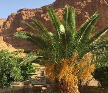 Toudgha El Oulia Hotel | Auberge Le Festival Todra Gorge
