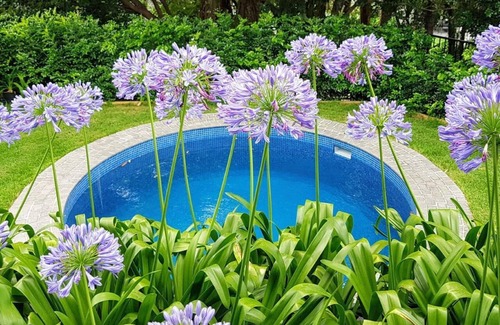 Auchenflower Apartment | Auchenflower, Tallywood Apt 3 - Pet Friendly/Family Friendly/Outdoor Area/Pool
