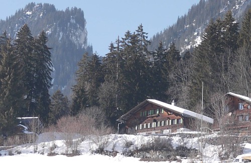 Oberwil im Simmental Apartment | Auf der Mauer by Interhome