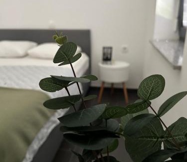 Verzej Apartment | AURORA Apartment Banovci