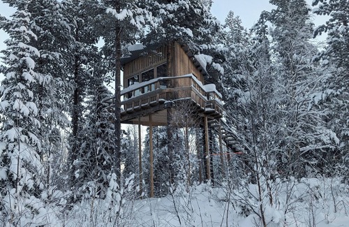 Arvidsjaur House | Aurora Lodge