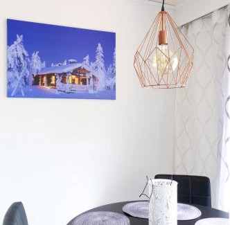 Rovaniemi House | Aurora Night Stay in Rovaniemi