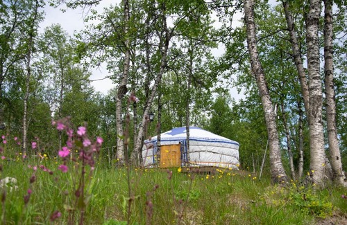 Kiruna Other | Aurora Yurt