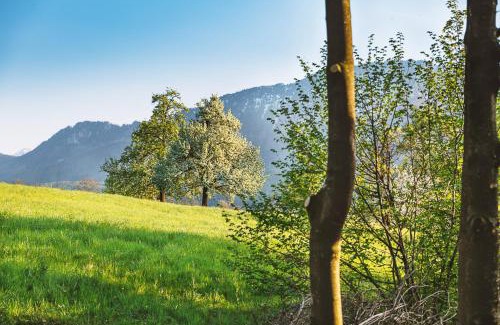 Micheldorf in Oberoesterreich House | Auszeit beim Oswald