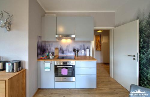 Mandelholz Apartment | Auszeit-im-Harz Haus 1 Wohnung Wurmberg
