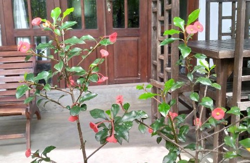 Ambagollapathana House | Avenra Cottage
