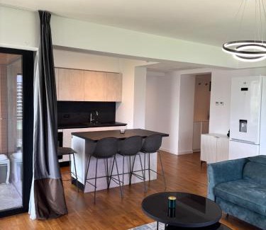 Baneasa Apartment | Aviatiei Boutique