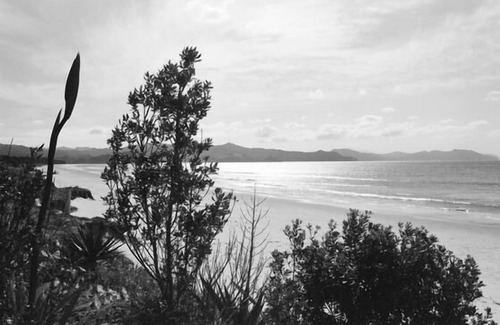 Matarangi House | Awesome family bach at stunning Matarangi beach!