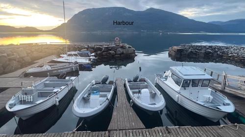 Midsund Municipality Apartment | Awesome Fishing, Boating and Nature Experience at Fiskesenter Birkeland