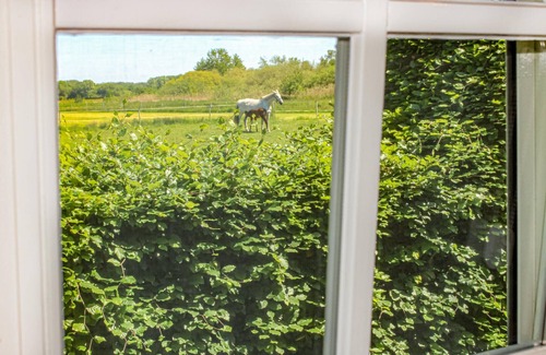 Udenhout House | Awesome home in Udenhout with WiFi