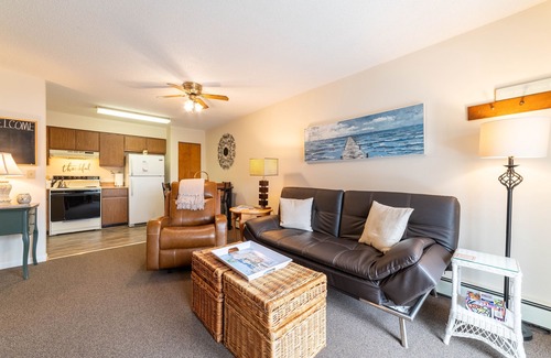 Walloon Lake House | Awesome in Walloon Village