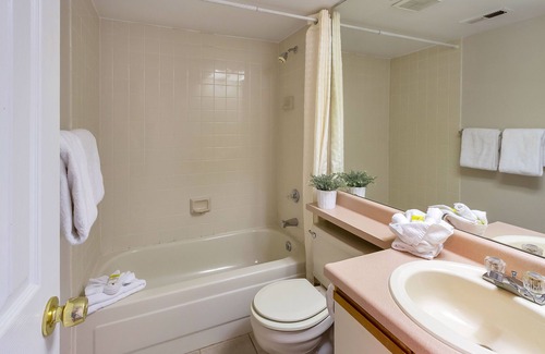 Denver Condo | Awesome Location! 1x1 in DTC