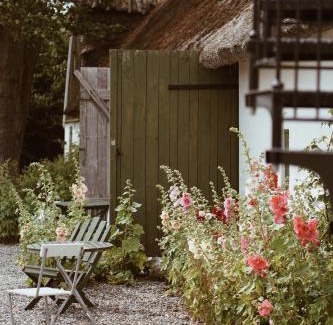 Trelleborg Bed & Breakfast | Axatorpsgården