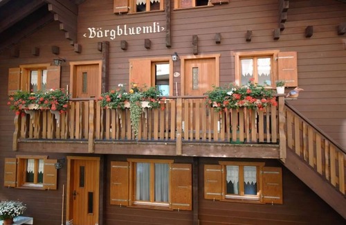 Bettmeralp Apartment | Bärgblüemli EG Süd by Interhome