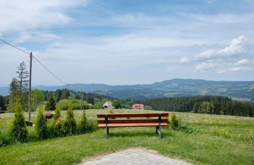 Breitnau Apartment | Bäuerleshütte
