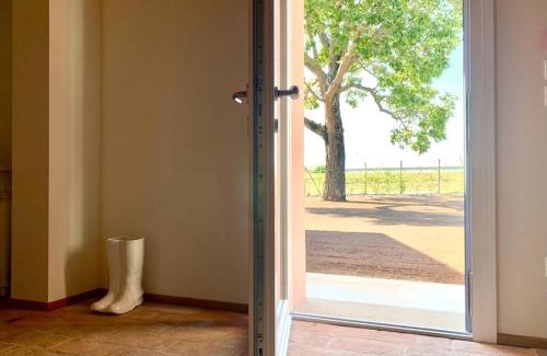 Lozzo Atestino Bed & Breakfast | b&b Agriturismo San Matteo