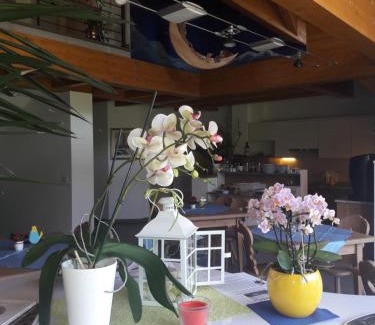 Camporosso in Valcanale Bed & Breakfast | B&B al Buondì
