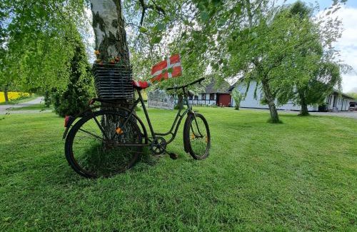 Askeby House | B&B Bauernhofferien auf Møn, Schäferwagen " DARK SKY"