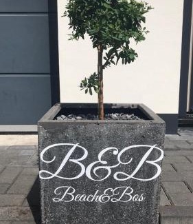 Oostvoorne Bed & Breakfast | B&B Beach&Bos