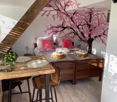Drachten Apartment | B&B Bijzonder