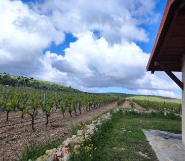 Montegrosso Other | B&B Biobonizio PIERLUIGI