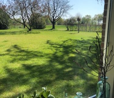 Neede Bed & Breakfast | B&B Borgersteeg