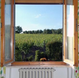 Ponte di Gabbiano Bed & Breakfast | B&B Casa Certosa