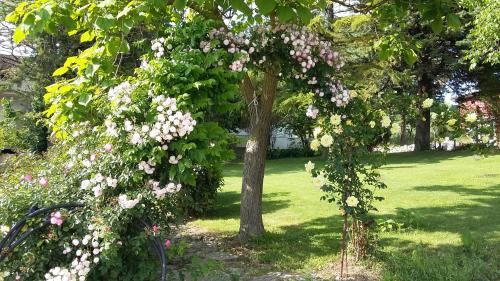 Torrecuso Bed & Breakfast | B&B Casa di Laura