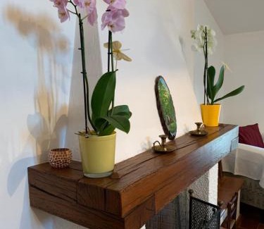 Sasso Marconi Apartment | B&B Codivilla