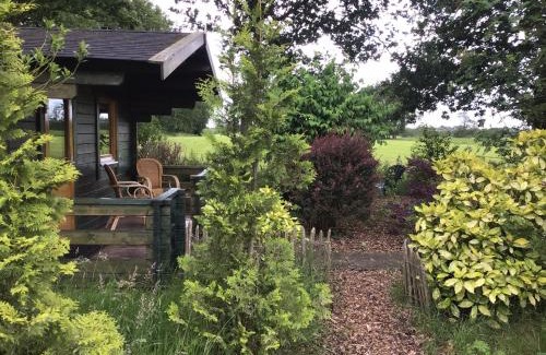 Nijega Bed & Breakfast | B&B De Flecht - De Ljip